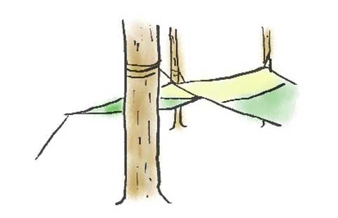タープの張り方応用 イラスト
