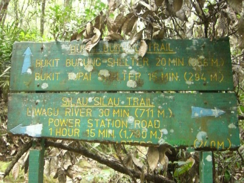 Silau-Silau Trail