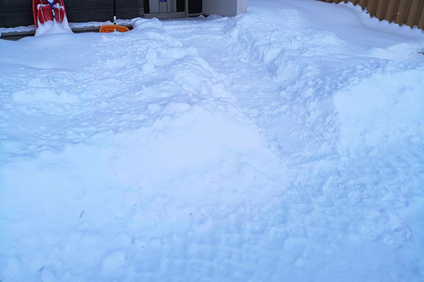 旭川 玄関前の雪かき