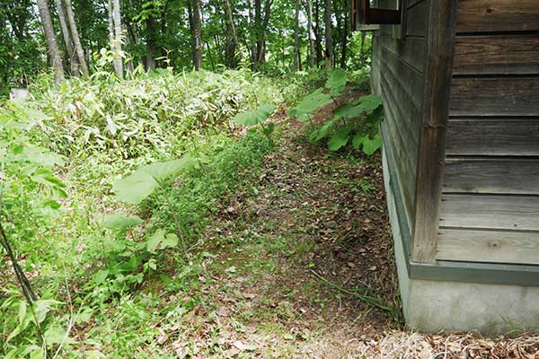 雑草が多少はなくなって歩きやすくなった家の周囲