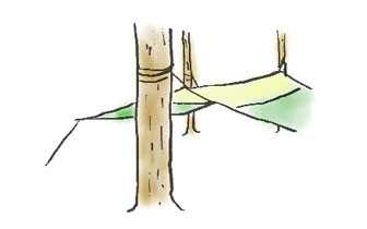 木立にタープを固定の図