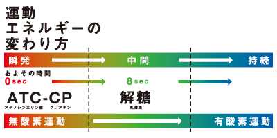 運動後イメージ