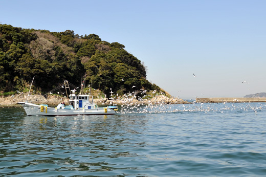 コウナゴ漁の漁船