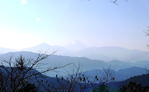 高尾山の山頂から富士山