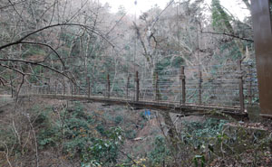 高尾山4号路の吊り橋