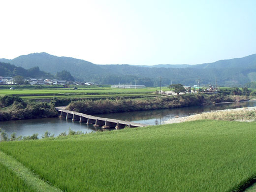 四万十川の様子