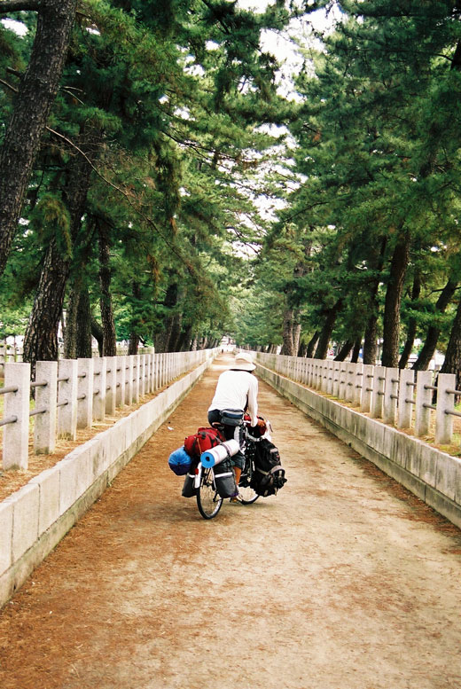 法隆寺への道