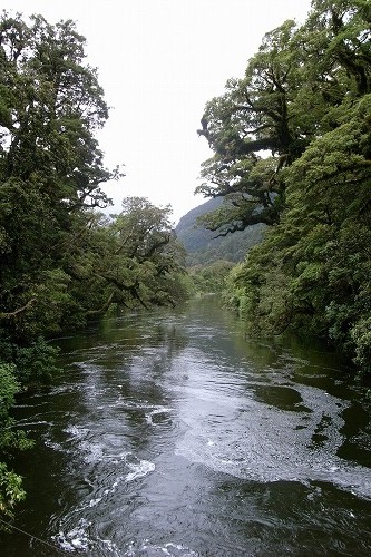 今は川だけれど、昨日まではどんな姿だったのだろう