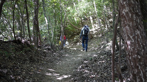 猿投山登山道上