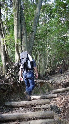 猿投山登山道上