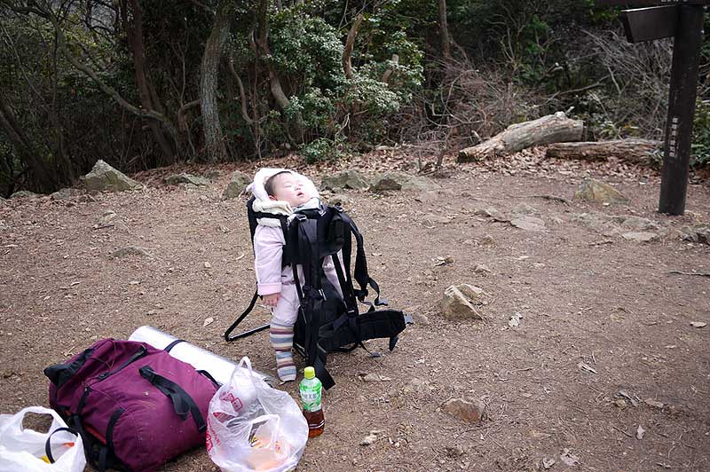 大谷山山頂で寝ているさくちゃん