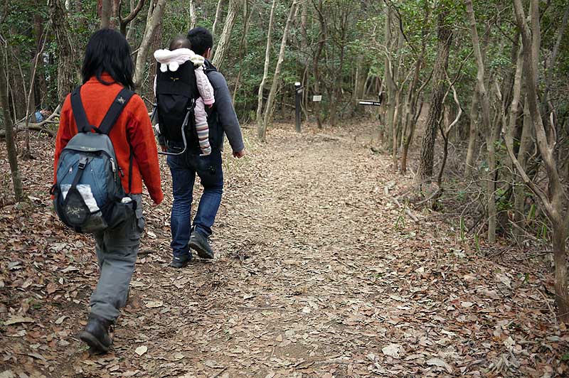 春日井三山 登山道の様子