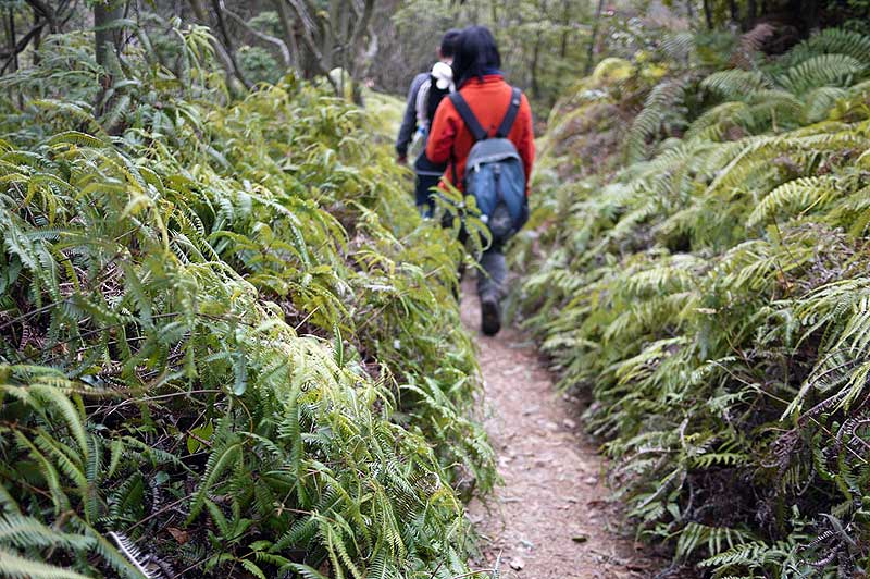 春日井三山　登山道の様子２