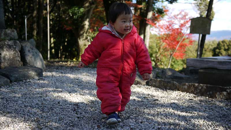 東谷山の山頂を歩くさくちゃん