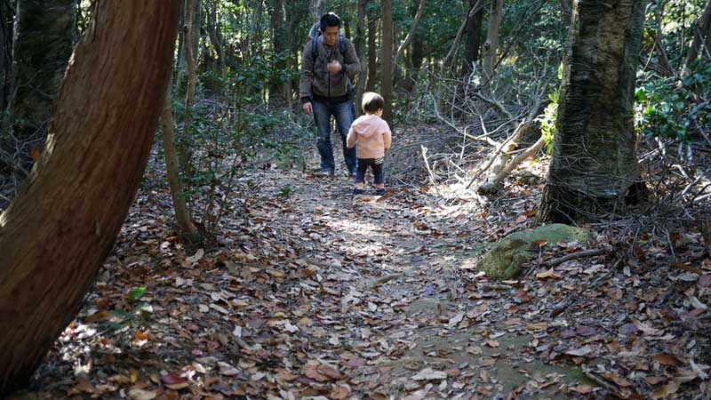 東谷山からの下山