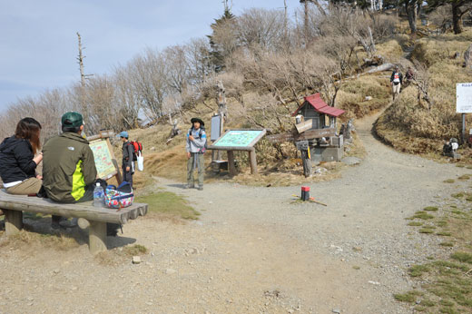 剣山 刀掛けの松の様子