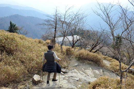 尾根道を下山