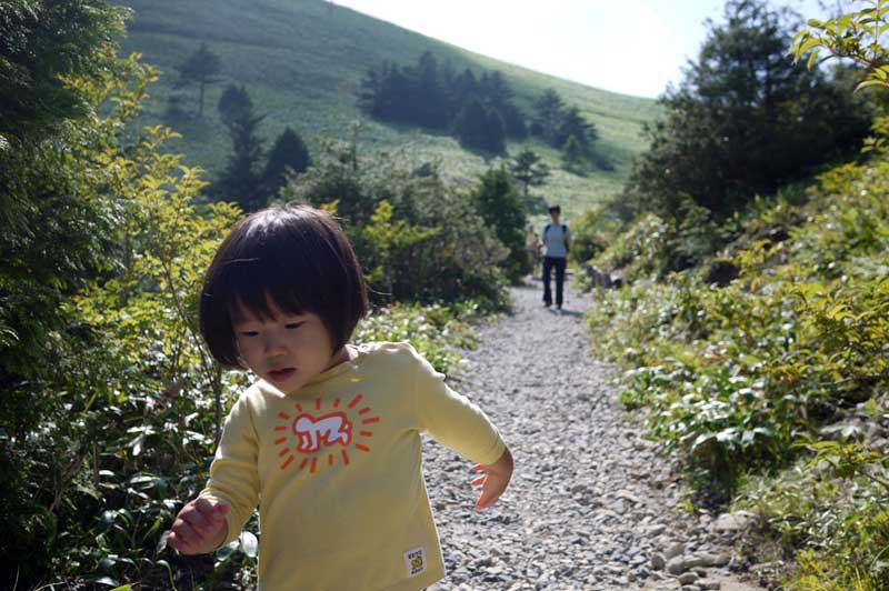 萬岳荘付近の歩きやすい登山道