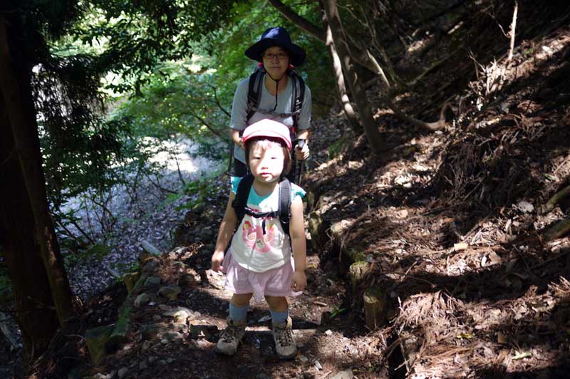 三方山の樹林帯