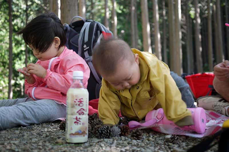 でっちゃんとさくちゃん