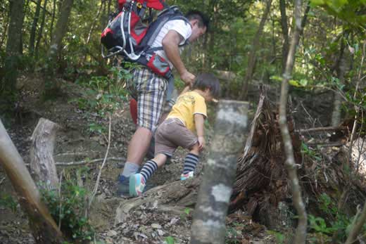 天王山　ちょっと歩くカエデちゃん