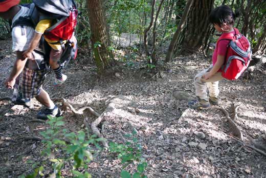 天王山　下山中の道