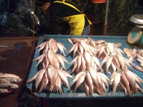 コタキナバルのマーケットの魚
