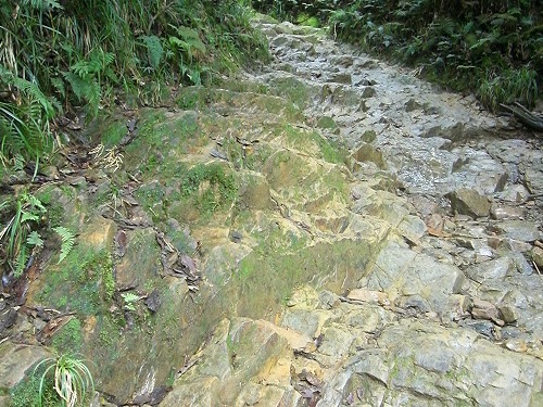 キナバル山登山道　岩が出ている