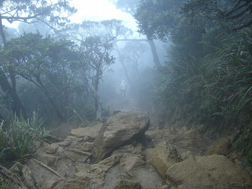 キナバル山登山道　岩がごろごろ