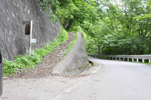 雲取山の登山道の入り口