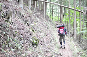 雲取山の登山道の様子