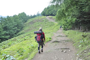 ブナ坂からの登山道