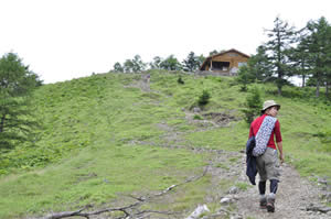 奥多摩小屋から雲取山山頂への登山道