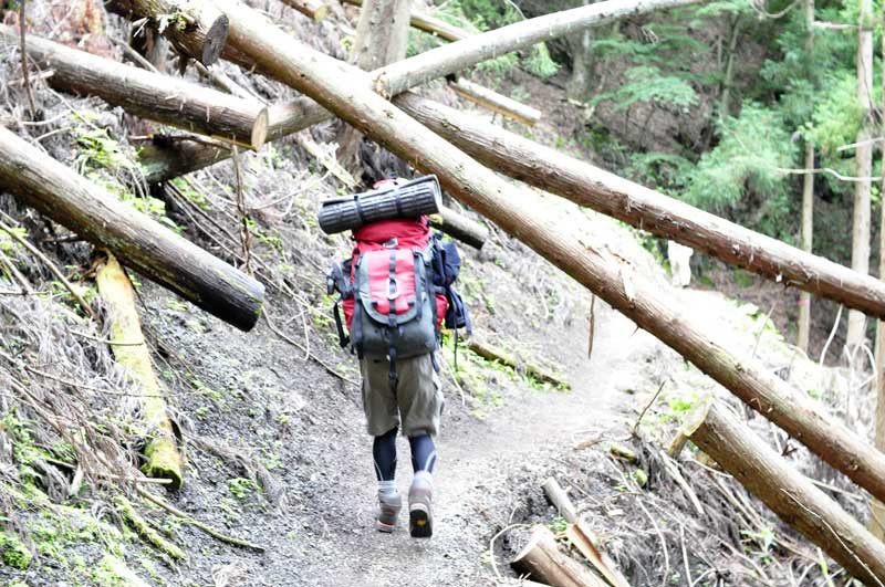 雲取山の登山道の様子