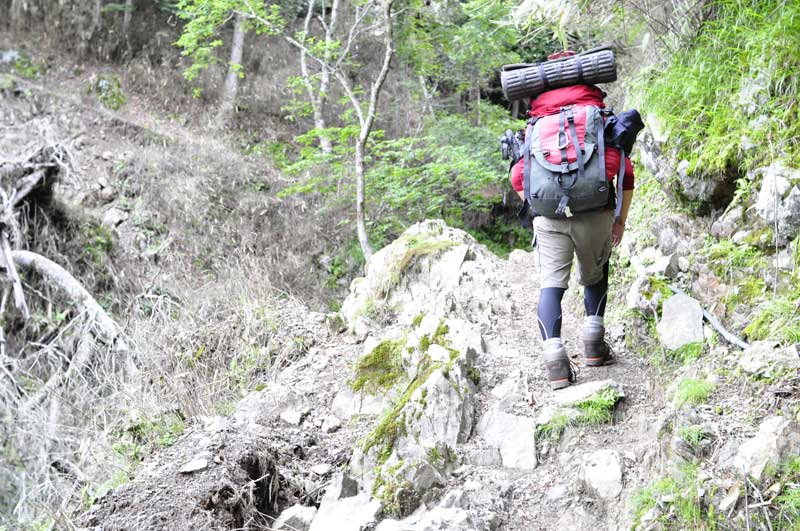 雲取山　七ツ石小屋からの登山道