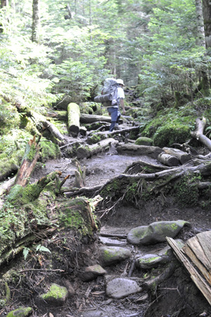 ニュウへの登山道