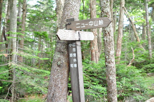 中山峠の分岐