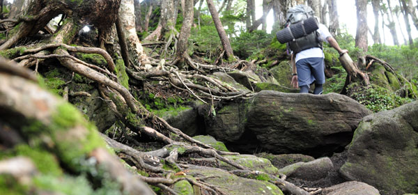 八ヶ岳　天狗岳への登山道の様子