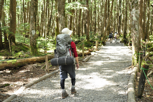 高見石小屋からの登山道