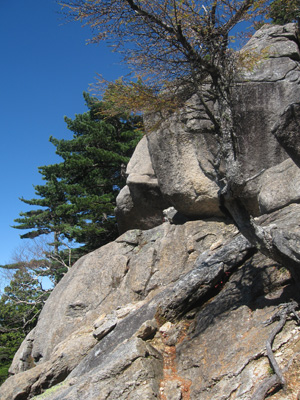 登山道入り口