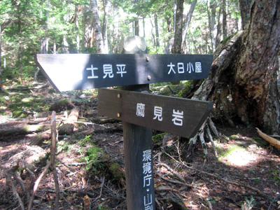 鷹見岩の分岐