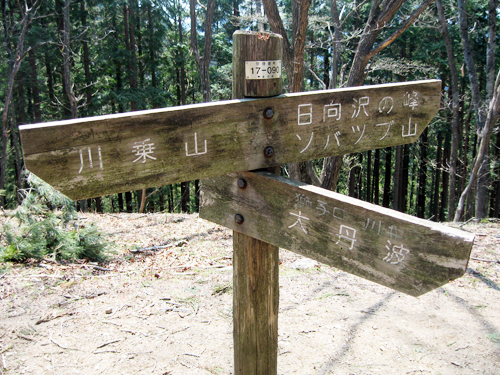 川苔山へ