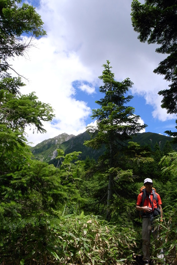 西穂高口付近の登山道