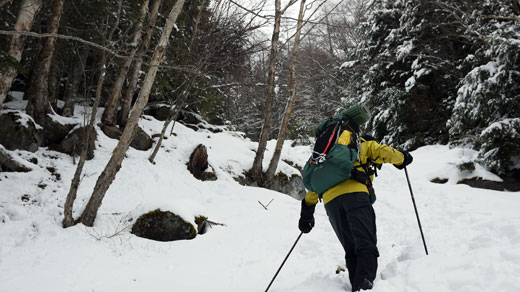 八ヶ岳南沢の登山道