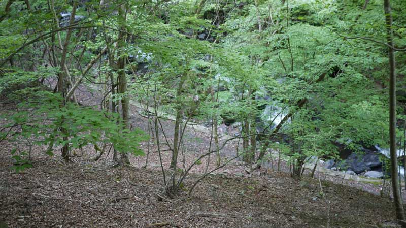 上から見た塩沢と登山道