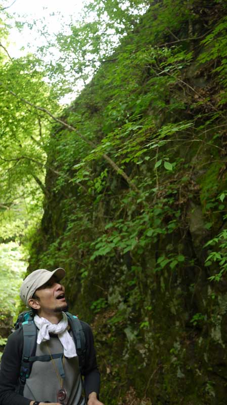 下ってきた斜面を見上げる小野P