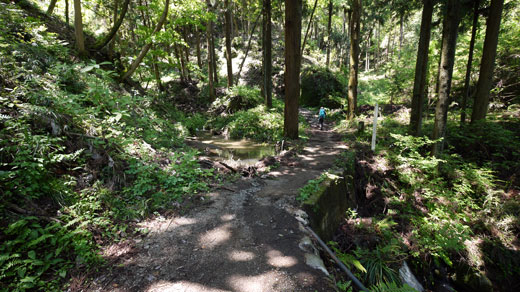 石老山の登山道の様子1