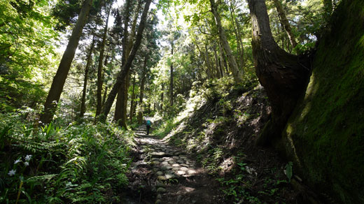 石老山の登山道の様子2