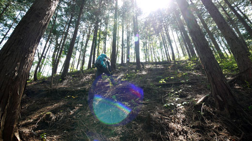 登山道ではない所を登るおのぴー