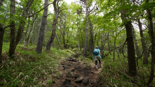 観音平から編笠山への登山道の様子１